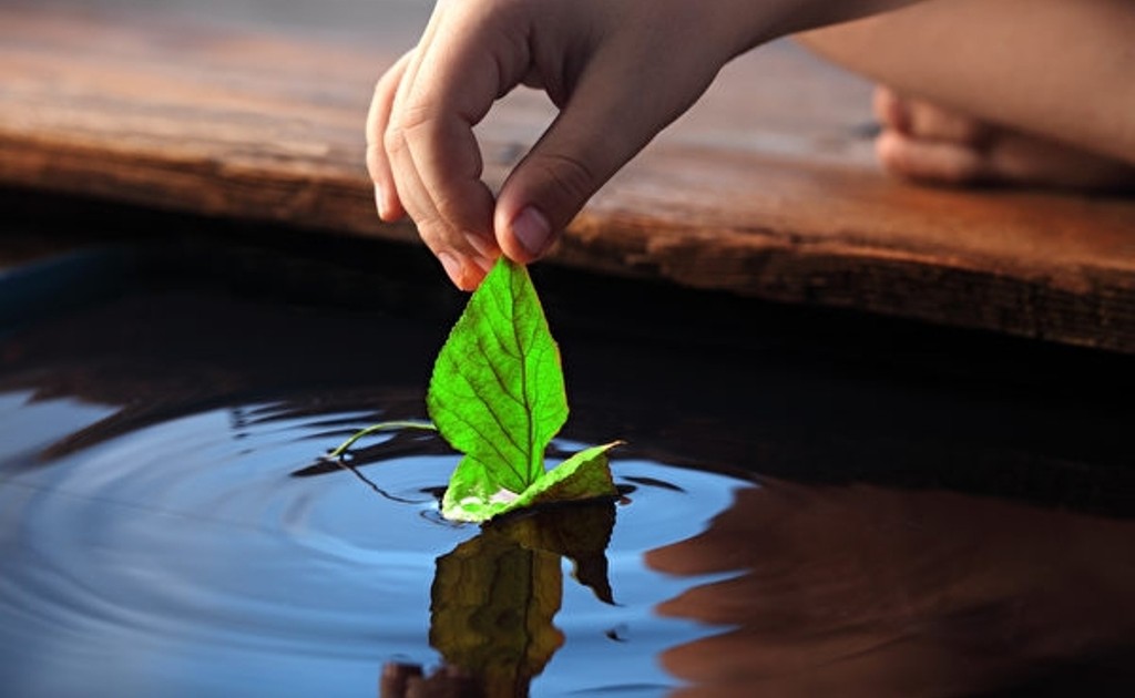 Buông Bỏ: bài học từ những quyển sách của thầy Nhất&nbsp;Hạnh